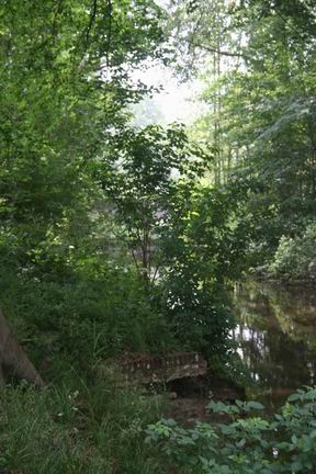 NTM_IMG_5555_20160612_1526.JPG